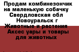 Продам комбинезончик на маленькую собачку - Свердловская обл., Новоуральск г. Животные и растения » Аксесcуары и товары для животных   